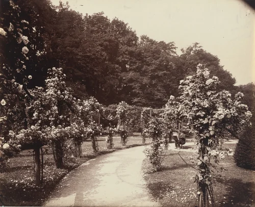 Bagatelle by Eugène Atget, photograph, 1915
