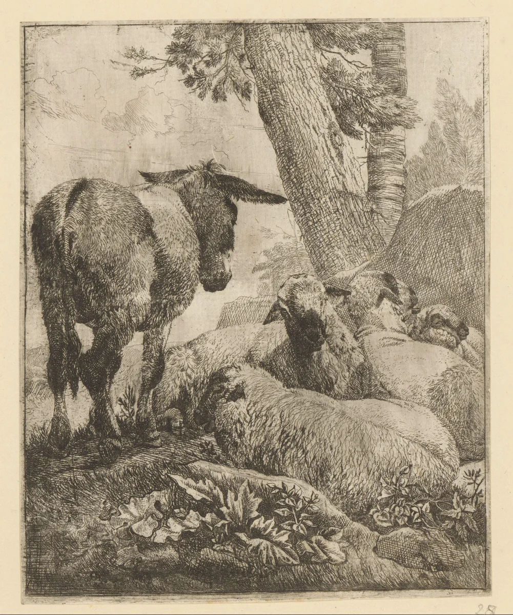Staande ezel en vier liggende schapen by Johann Heinrich Roos, print, 1668-1670