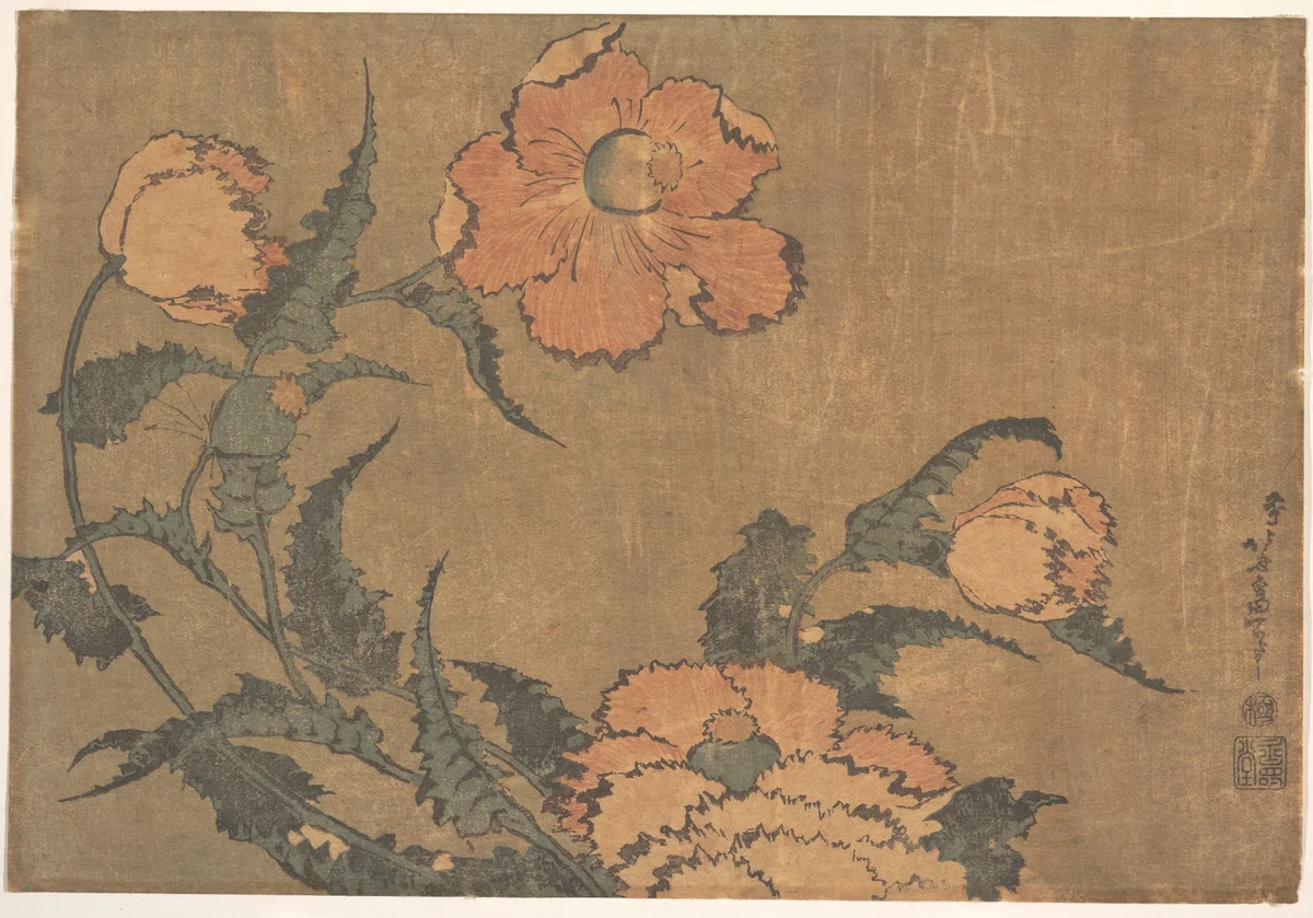 Poppies in the Wind by Katsushika Hokusai (葛飾 北斎), print, 1820-1834