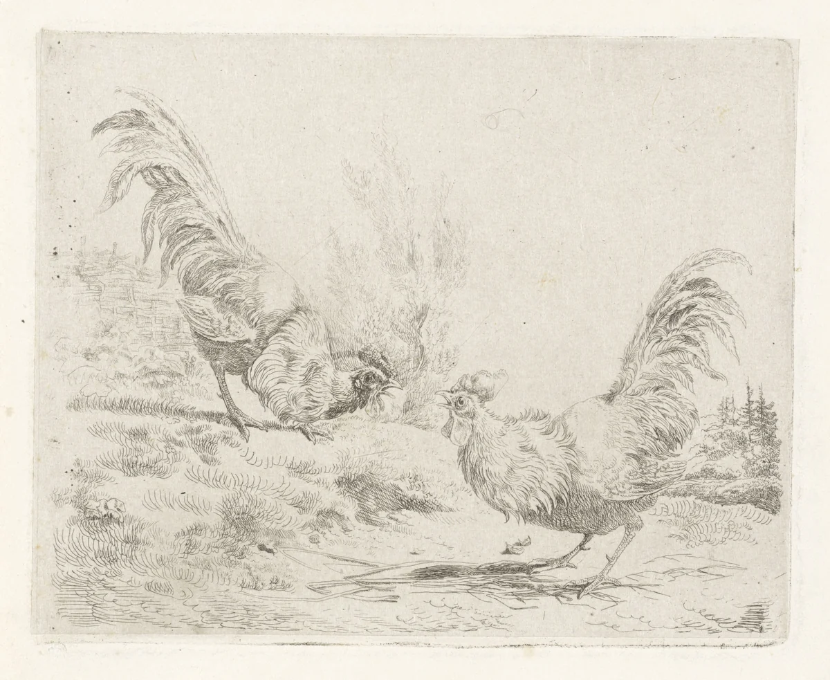 Twee vechtende hanen by Albertus Verhoesen, print, 1816-1881
