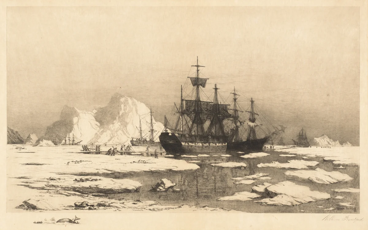 Among the Ice Floes by William Bradford, print, 1890