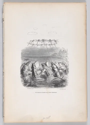 ... and soon formed a fantastic round, from "Scenes from the Private and Public Life of Animals" by J. J. Grandville, print, 1832-1852