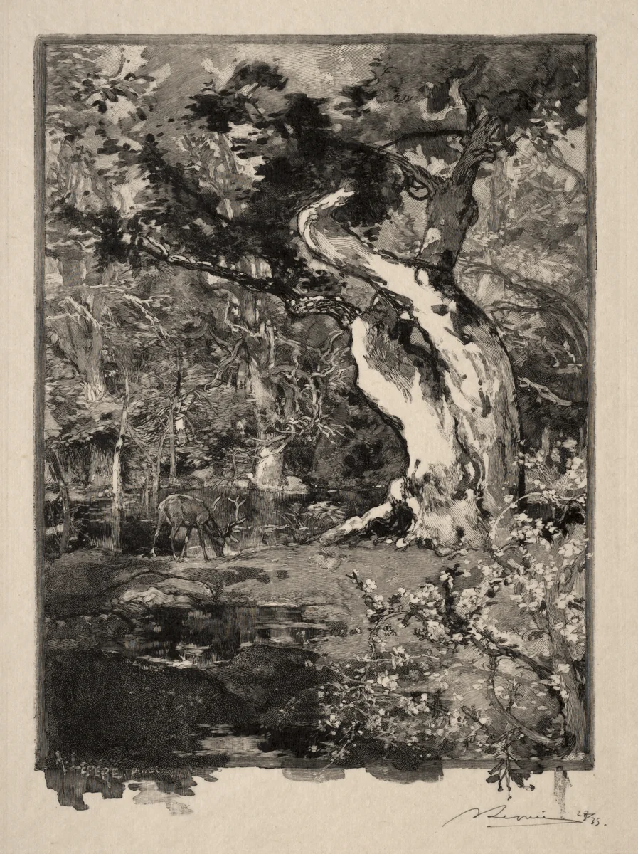 Le Clovis, Plateau de Bellecroix by Auguste Louis Lepère, print, 1890