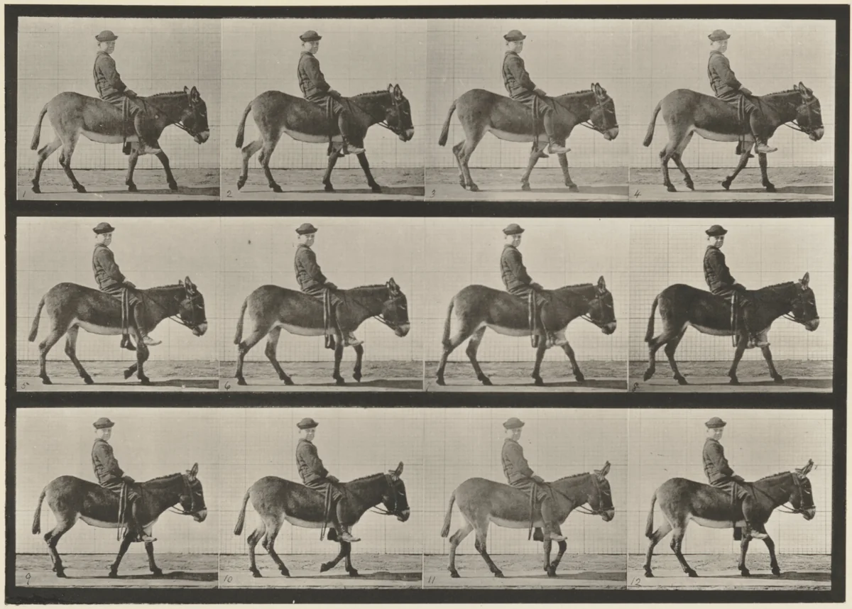 Plate Number 665. Ass; walking; bareback; a boy riding, Jennie by Eadweard Muybridge, photograph, 1887
