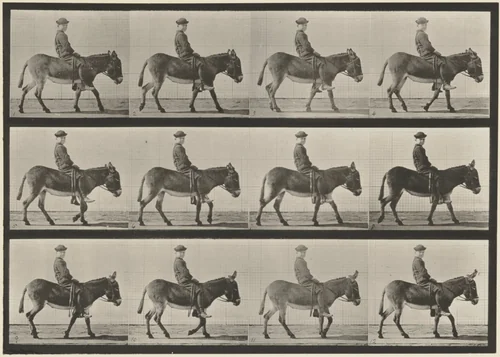 Plate Number 665. Ass; walking; bareback; a boy riding, Jennie by Eadweard Muybridge, photograph, 1887