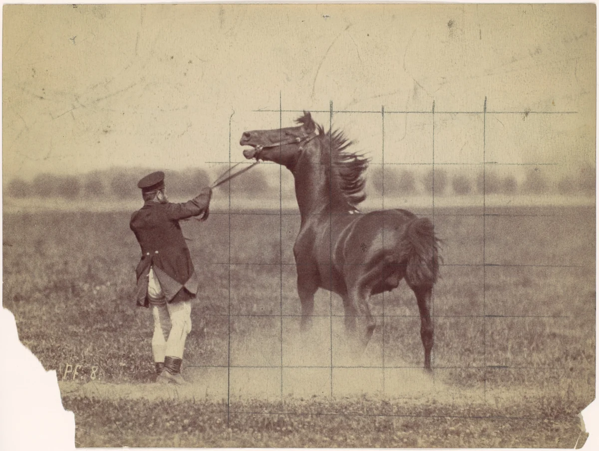 Horse by Ottomar Anschütz, photograph, 1884