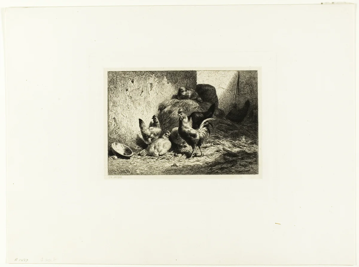Rooster and Hens by Charles-Émile Jacque, print, 1859-1869