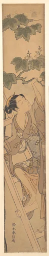 Young Woman Climbing a Ladder by Suzuki Harunobu (鈴木春信), print, 1758-1778