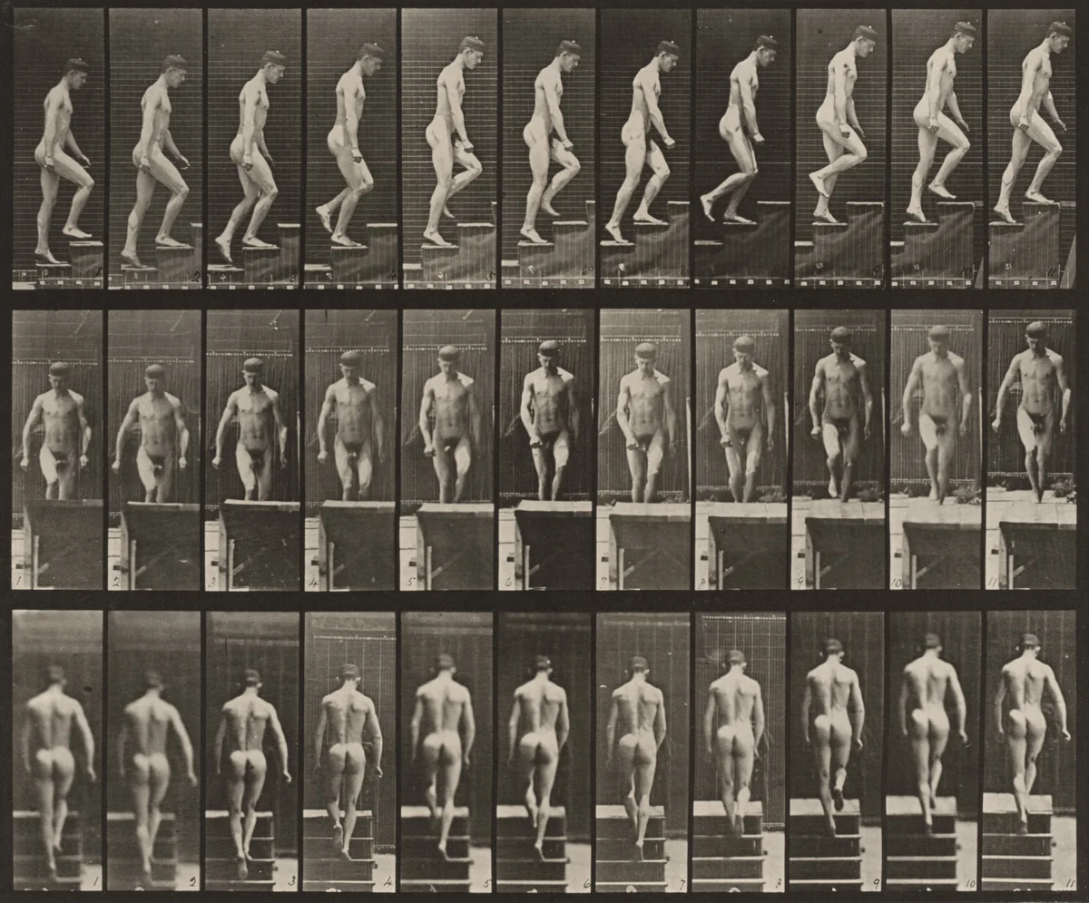 Plate Number 88. Ascending stairs by Eadweard Muybridge, photograph, 1887