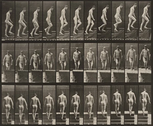 Plate Number 88. Ascending stairs by Eadweard Muybridge, photograph, 1887