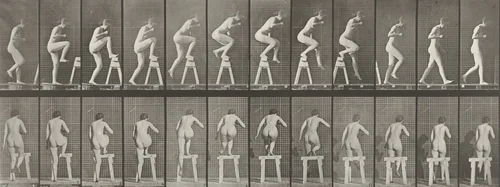 Woman Stepping on and over a Trestle: Plate 178 from Animal Locomotion (1887) by Eadweard Muybridge, photograph, 1884