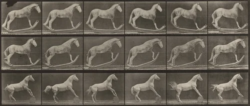 Plate Number 649. A: "Hornet" rocking. B: "Eagle" rolling a barrel by Eadweard Muybridge, photograph, 1887