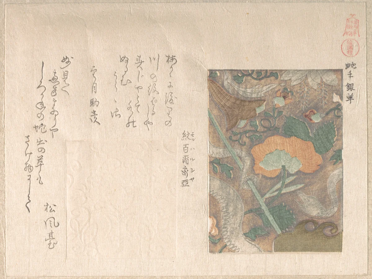 Designs of Imported Leathers by Kubo Shunman (窪俊満), print, 1800-1899