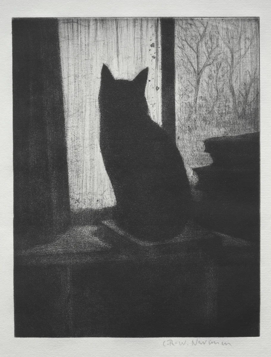 The Cat by Christopher Nevinson, print, 1900-1946