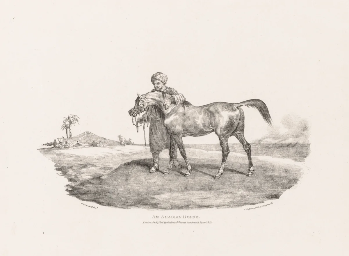 Various Subjects Drawn from Life and on Stone: An Arabian Horse by Théodore Géricault, print, 1821