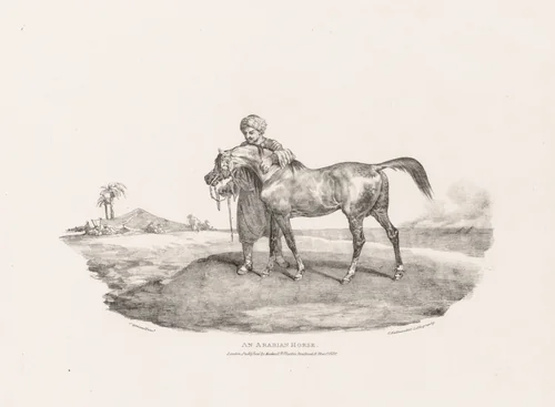 Various Subjects Drawn from Life and on Stone: An Arabian Horse by Théodore Géricault, print, 1821