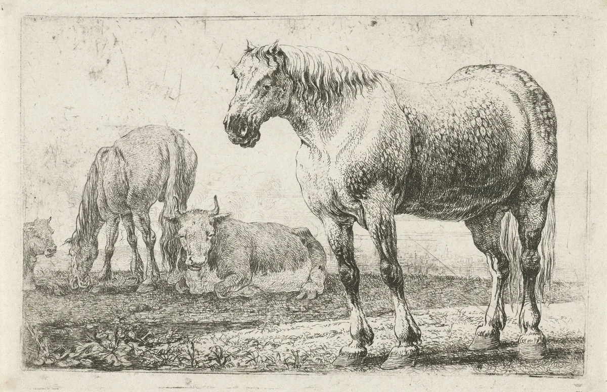 Paarden en koeien by Jan van den Hecke, print, 1656