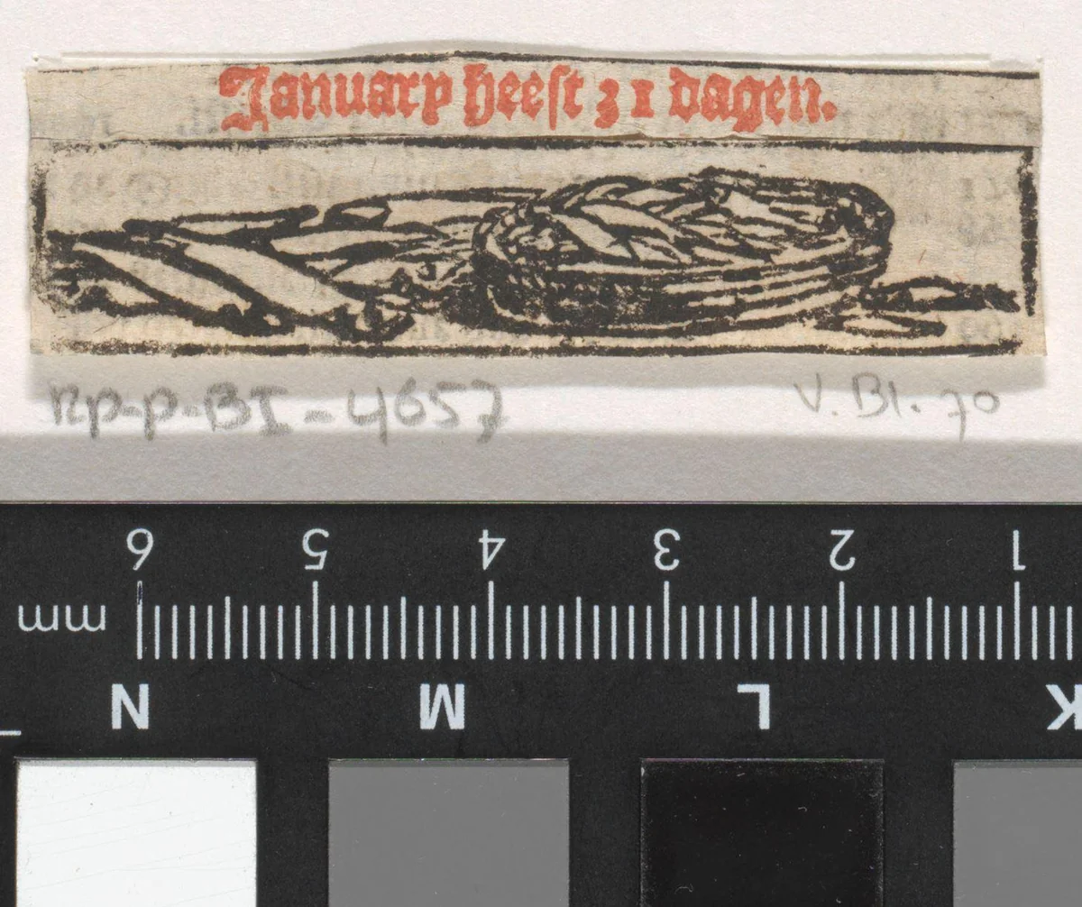 Januari by Dirck de Bray, print, 1672