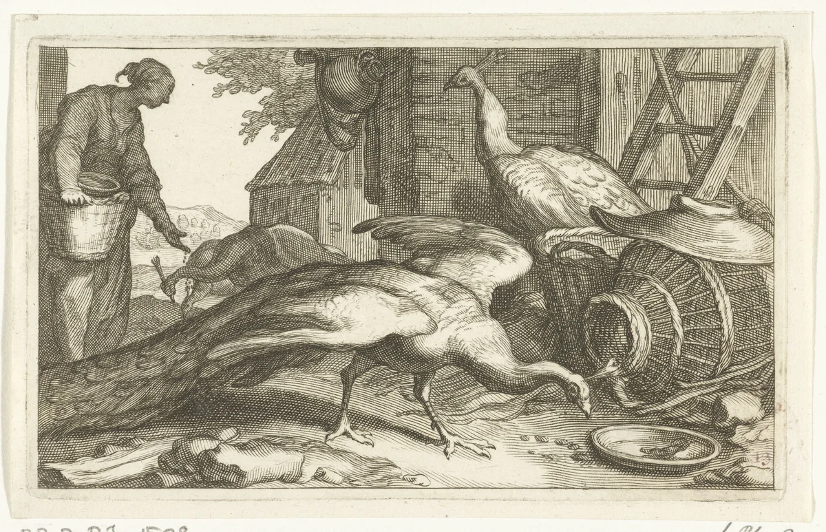 Pauwen op een boerenerf by Frederick Bloemaert, print, 1635-1670