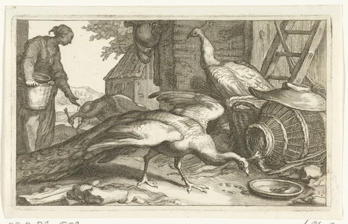 Pauwen op een boerenerf by Frederick Bloemaert, print, 1635-1670
