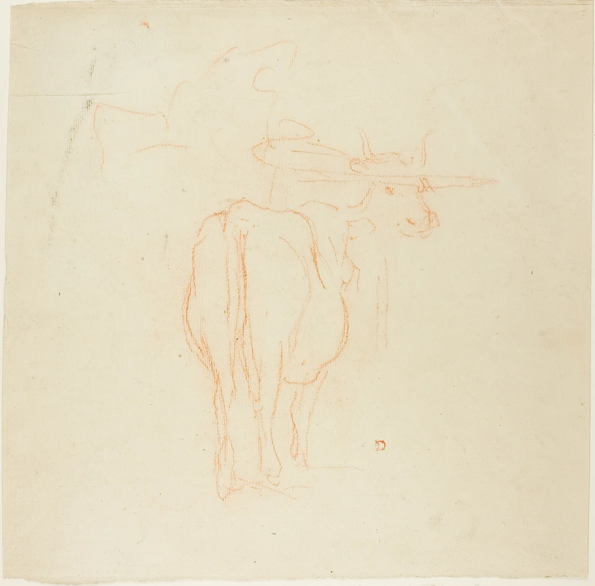 Standing Cattle by Charles-François Daubigny, drawing, 1837-1878