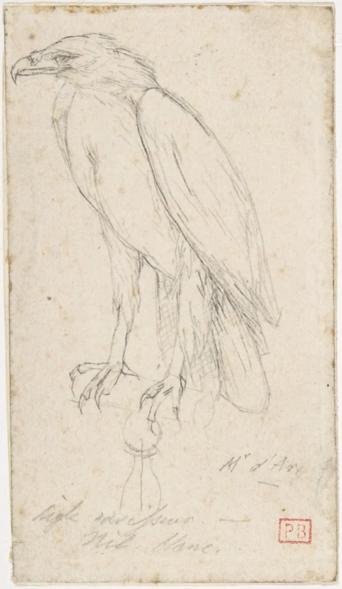 A Golden Eagle by Charles Meryon, drawing, 1859