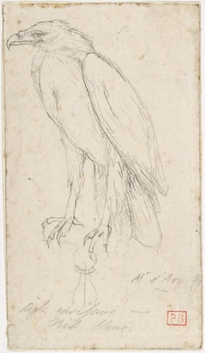 A Golden Eagle by Charles Meryon, drawing, 1859