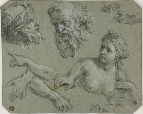 Sketches of Half-Length Female Nude, Male Heads, Arms by Louis de Boullogne, drawing, 1629-1674