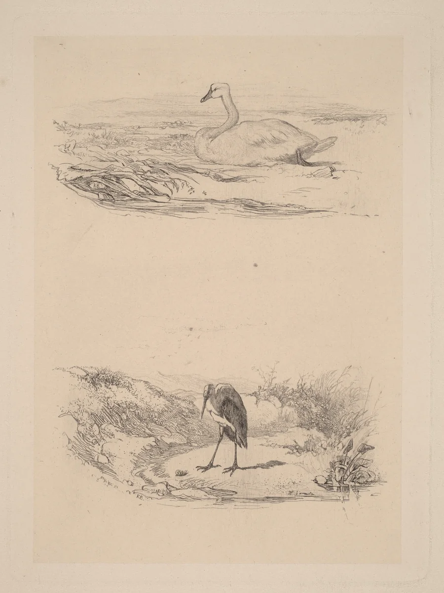 Cygne, heron by Karl Bodmer, print, 1809-1893