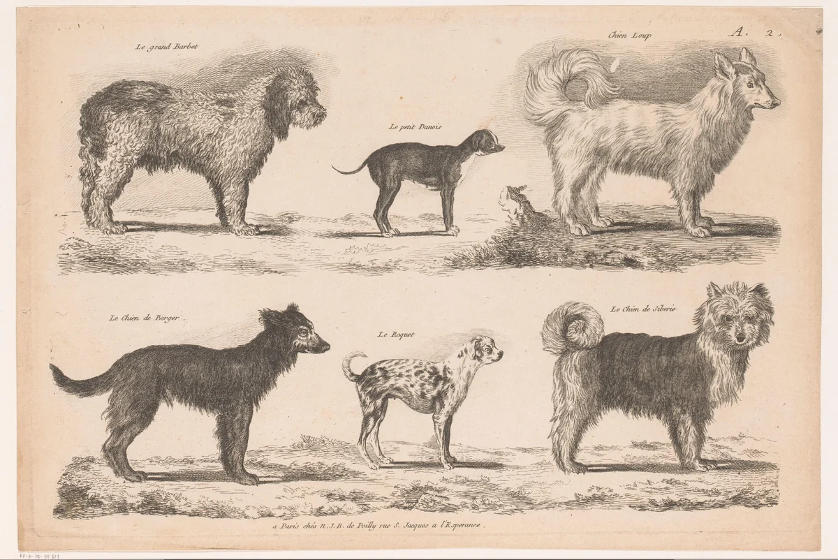 Hondenrassen by anonymous, print, 1750-1820