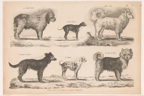 Hondenrassen by anonymous, print, 1750-1820