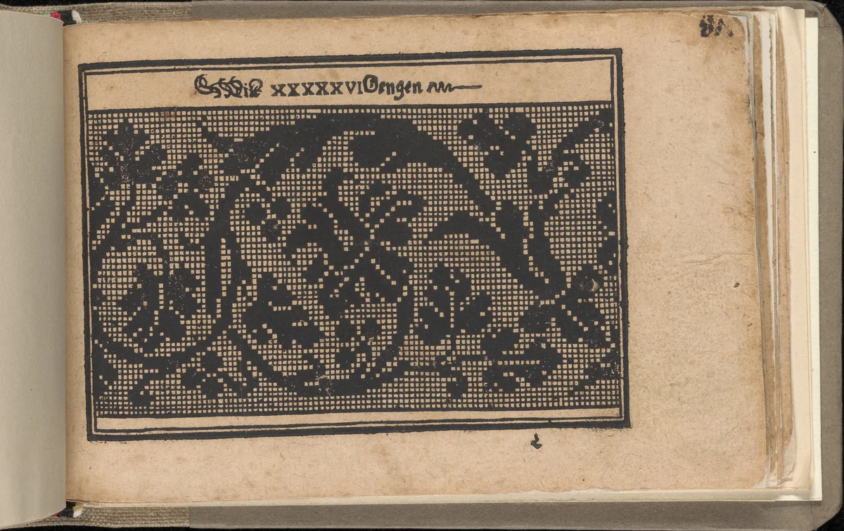 Schön newes Modelbuch (Page 81r) by Sigismundus Latomus, book, 1608