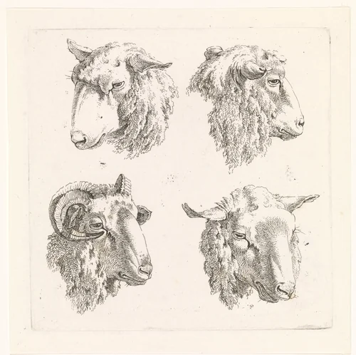 Vier schaapskoppen by Barend Hendrik Thier, print, 1755-1811