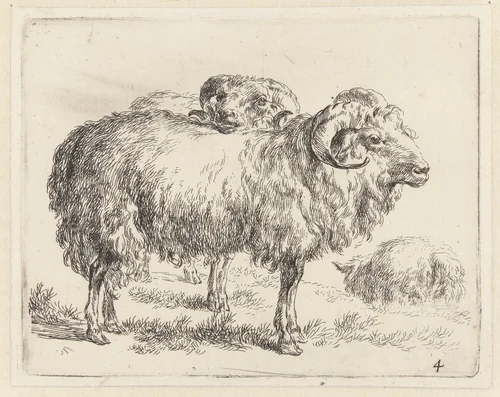 Twee rammen en een schaap by Nicolaes Pietersz Berchem, print, 1648-1652