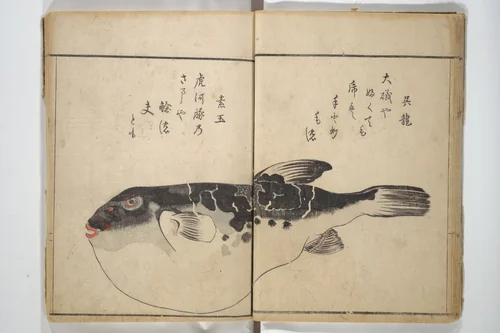 The Servants of the Dragon King of the Sea: Fish and Shells (Tatsu no miyatsuko gyokai fu) 龍の宮津子魚貝譜 by Kuwagata Keisai (鍬形蕙斎), book, 1802