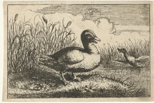 Landschap met wilde eend by anonymous, print, 1659-1741
