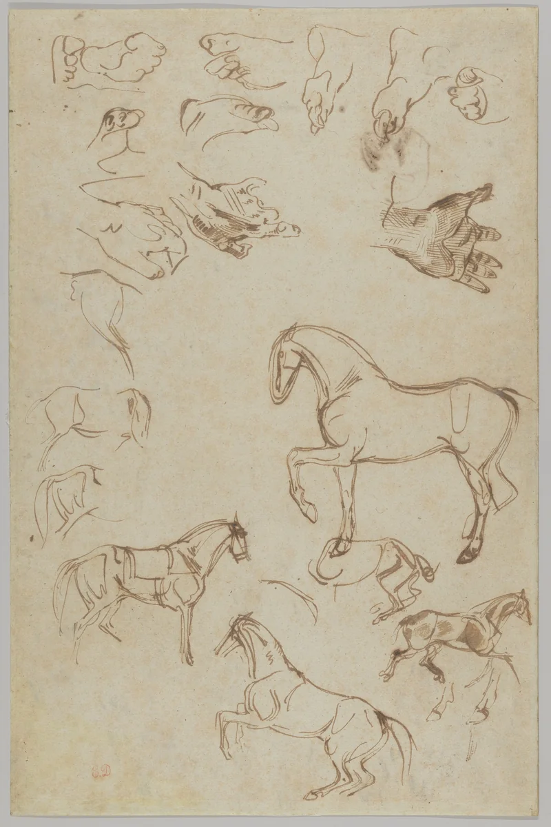 Studies of Horses, Hands, and Feet (recto); Studies of Heads and Figures (verso) by Eugène Delacroix, drawing, 1817-1827