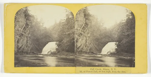 Fall Creek, Ithaca, N.Y. 2d, or Forest Fall, 60 feet high, from the dam by J. C. Burritt, photograph, 1860-1865