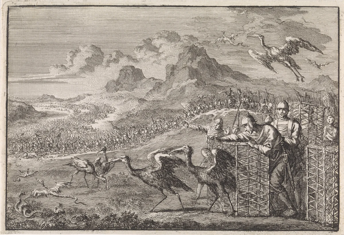 Mozes verjaagt de slangen door ibissen los te laten by Jan Luyken, print, 1704