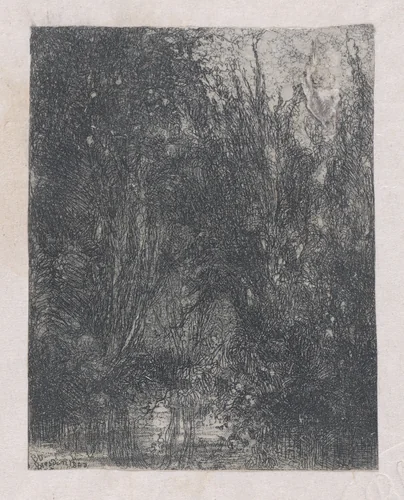 La Marécage (The Marsh) by Rodolphe Bresdin, print, 1849