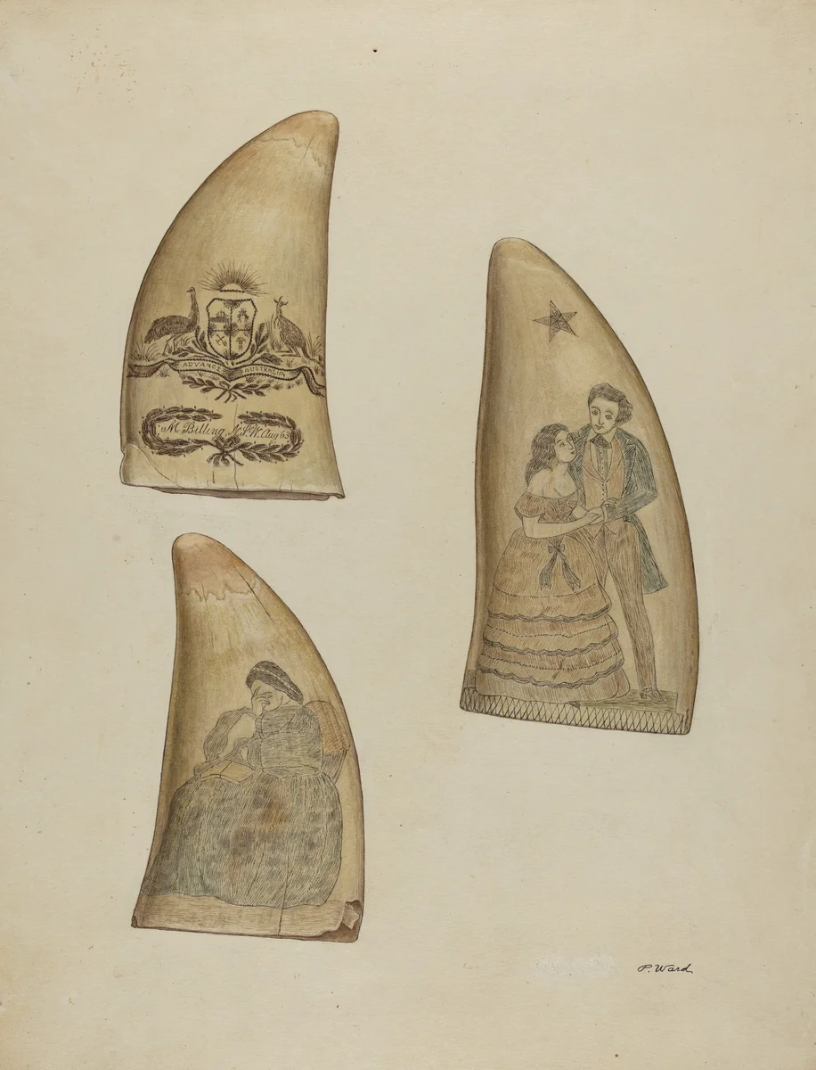 Scrimshaw by Paul Ward, index of american design, 1936