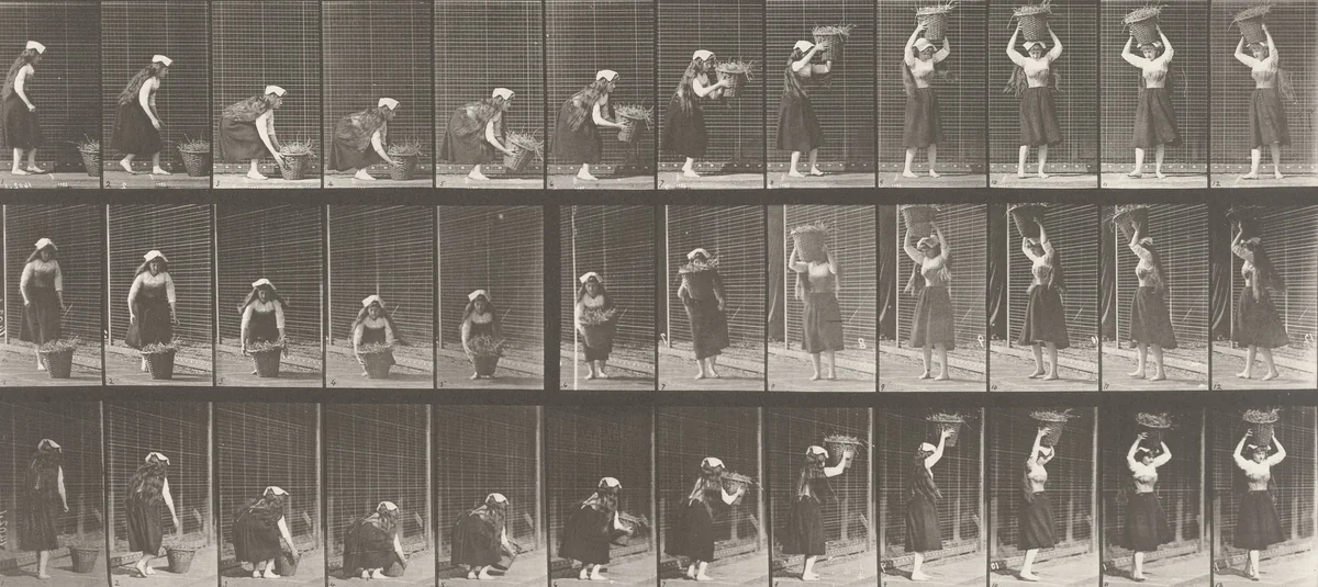 Woman Lifting a 30-lb. Basket from Ground to Head and Turning: Plate 230 from Animal Locomotion (1887) by Eadweard Muybridge, photograph, 1884
