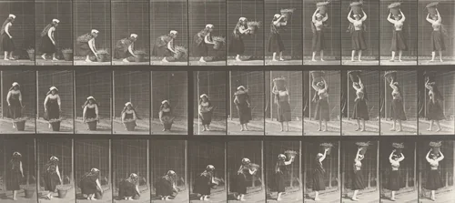 Woman Lifting a 30-lb. Basket from Ground to Head and Turning: Plate 230 from Animal Locomotion (1887) by Eadweard Muybridge, photograph, 1884