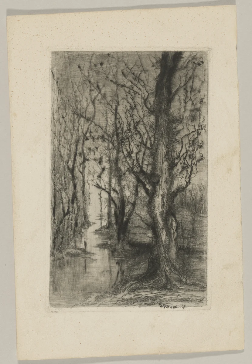 Woodland with a Stream Running Through by Giberto Borromeo, print, 1889-1899