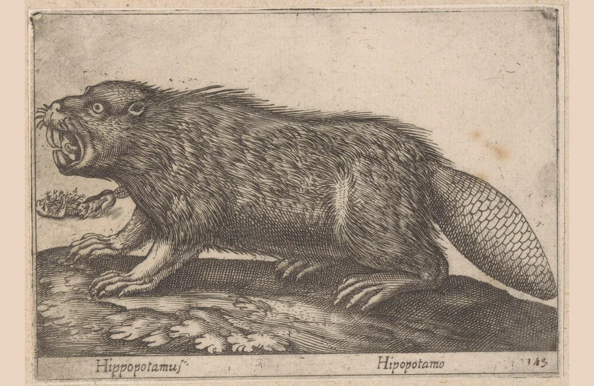 Bever by Antonio Tempesta, print, 1565-1630