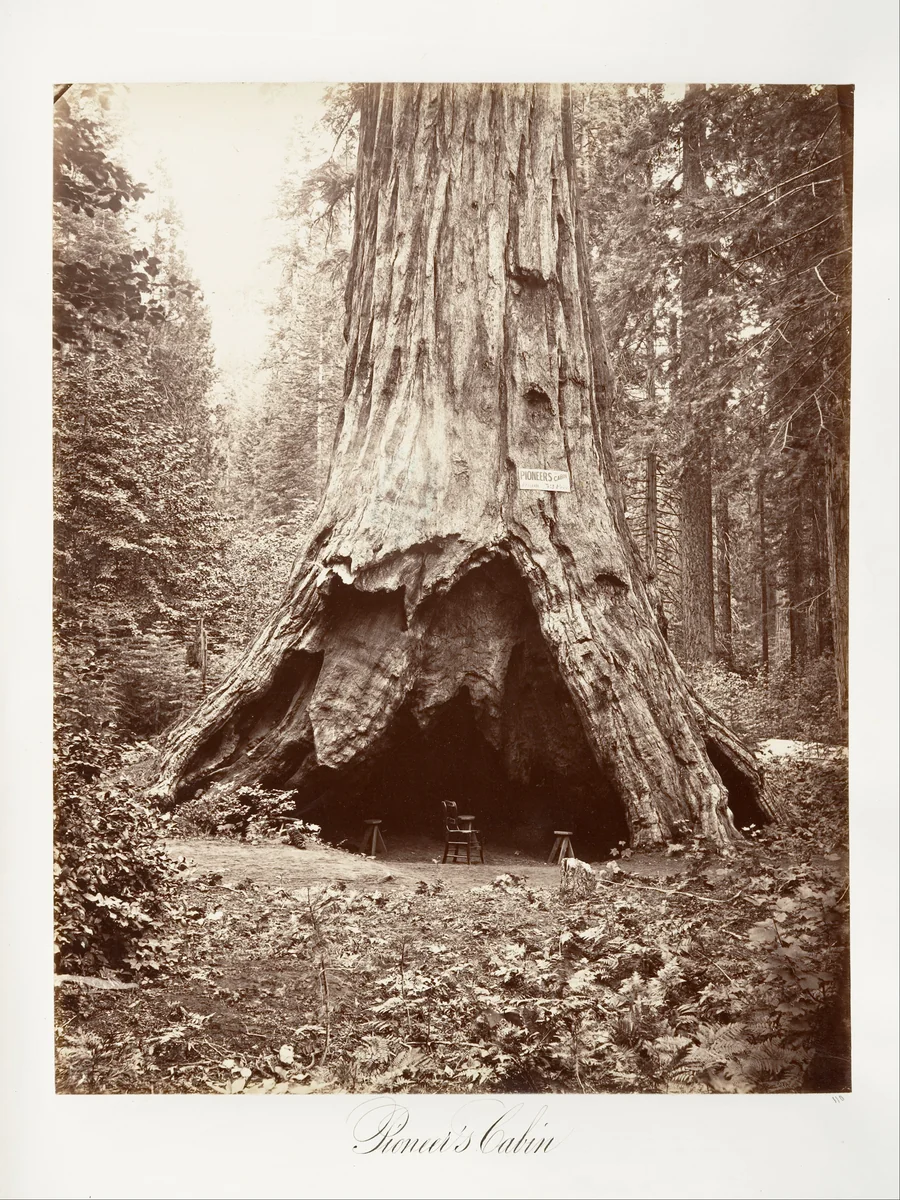 Pioneer's Cabin by Carleton E. Watkins, photograph, 1865-1866
