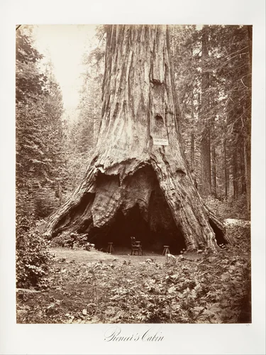 Pioneer's Cabin by Carleton E. Watkins, photograph, 1865-1866