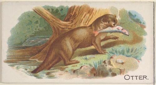 Otter, from the Quadrupeds series (N21) for Allen & Ginter Cigarettes by Allen & Ginter, print, 1890