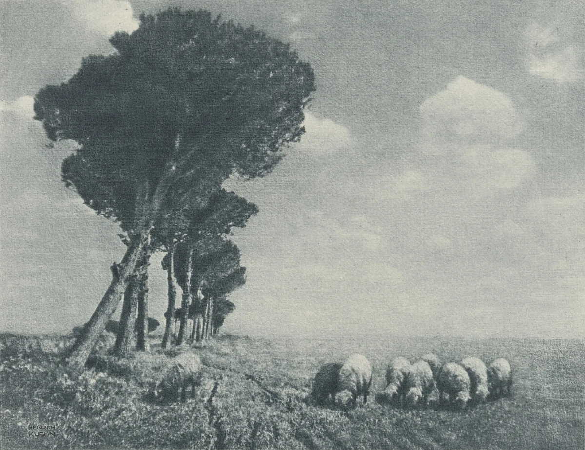 Campagnadi Roma by Heinrich Kühn, photograph, 1902