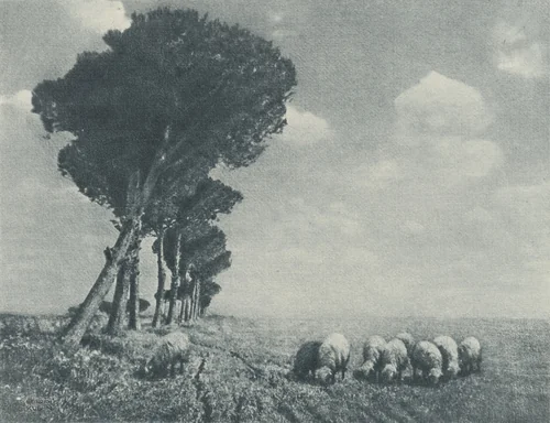 Campagnadi Roma by Heinrich Kühn, photograph, 1902